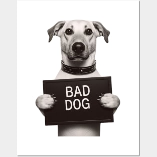 Bad Dog Mugshot Posters and Art